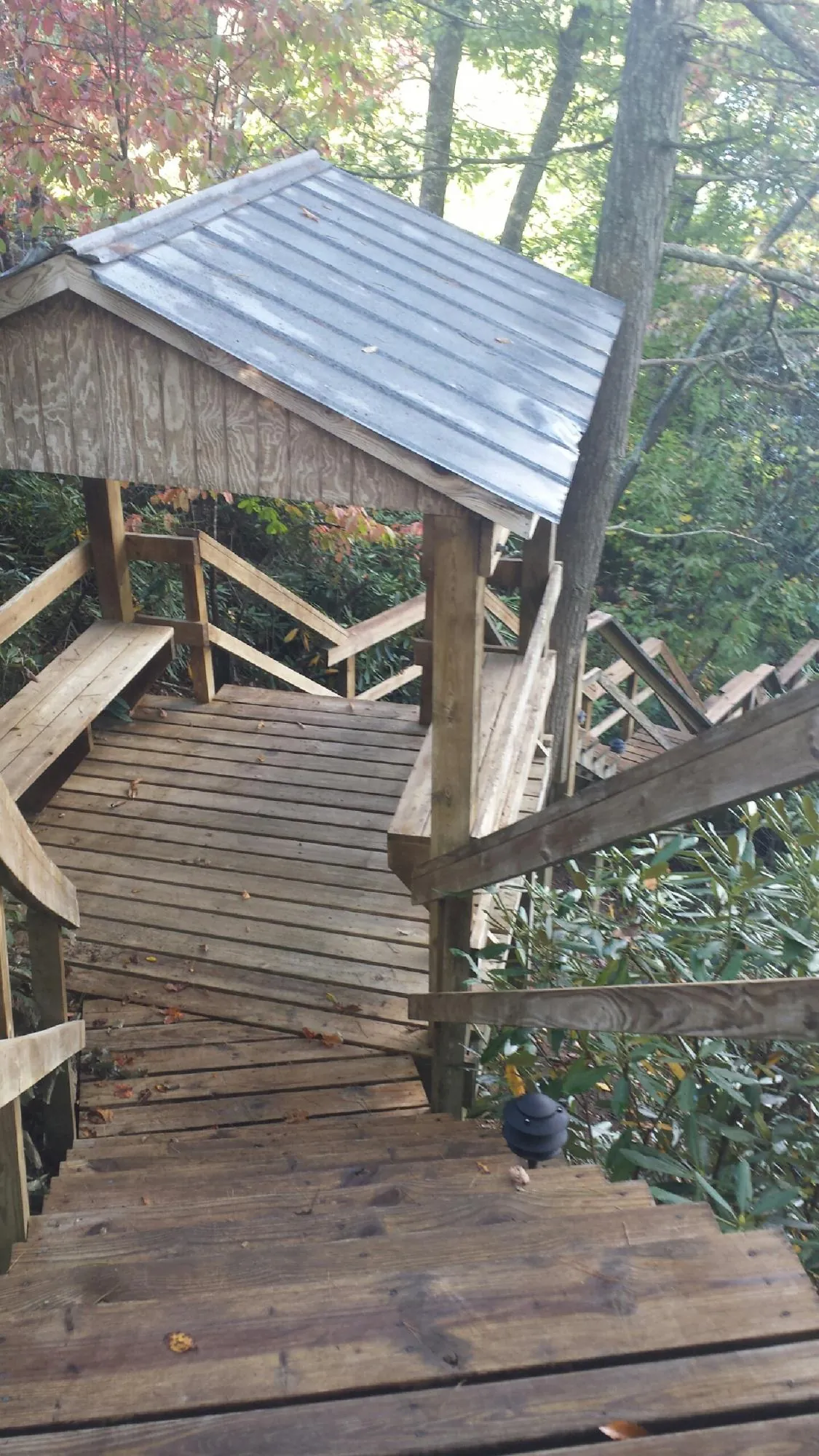 Metal roofed shelter over wooden steps on a wooded walkway — Skylight Repair & Installation work by our crew in Dendron